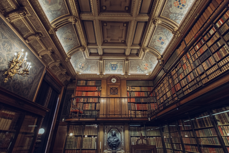 bibliotheque-SIGNES-min_library-863148